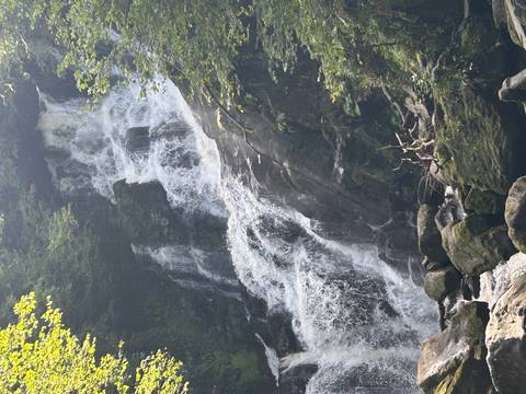 Tall forest waterfall cascades over mossy rocks surrounded by lush greenery.