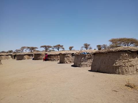 Row of traditional Maasai thatched huts under a clear blue sky with a lone person standing by.