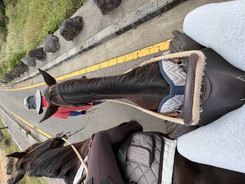 Rider’s perspective from horseback along a country road lined with volcanic stones.