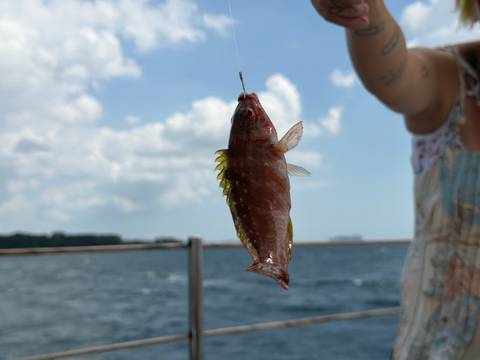 Freshly caught reddish fish dangling from a fishing line above the open sea, held by an angler’s arm.