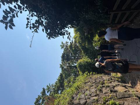 Small group of hikers walking a shaded path bordered by lush greenery and volcanic rock walls.