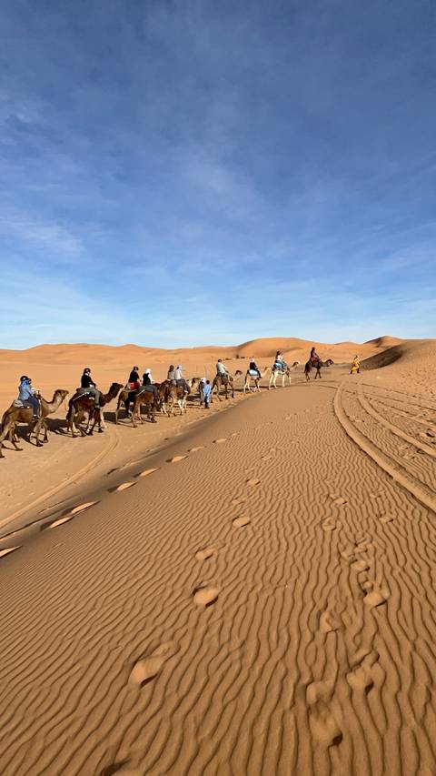 Travellers riding camels make tracks through expansive desert sand under blue skies.