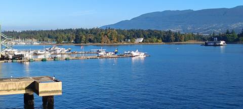 Harbor with seaplanes docked in front of Vancouver’s Stanley Park and distant bridge