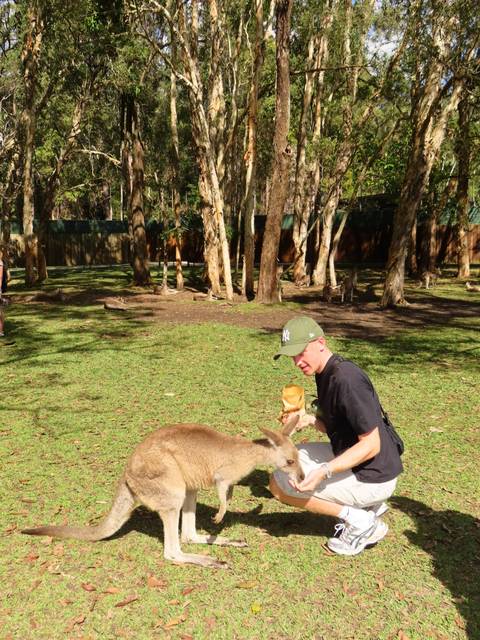 Traveller crouches to feed a kangaroo in a grassy wildlife park dotted with trees.