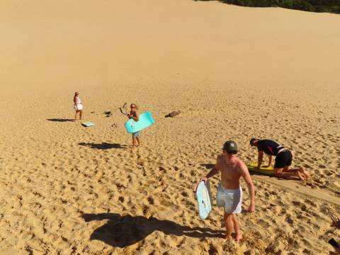 Travellers climb a steep golden sand dune carrying bodyboards for sandboarding.