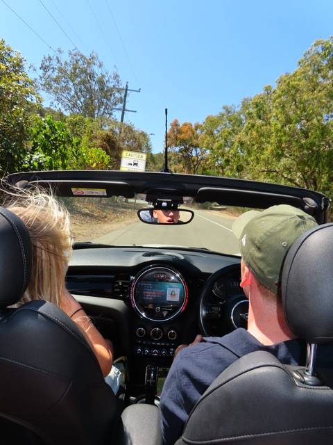 Point-of-view from the back seat of a convertible driving through bushland, a dingo caution sign visible ahead.