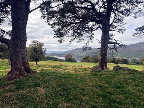 Scenic Scottish countryside framed by two large trees overlooking a lake and rolling hills.