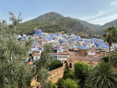 Panoramic view of Chefchaouen’s blue-painted buildings cascading down a hillside beneath forested peaks.