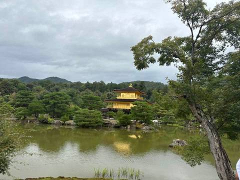 8 Tage Splendid Japan-Privat s-Osaka nach Tokio Foto von Kundenbewertung