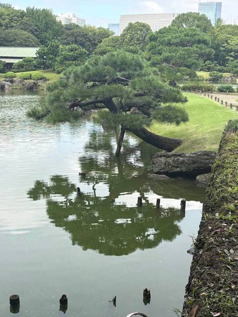 8 Tage Splendid Japan-Privat s-Osaka nach Tokio Foto von Kundenbewertung