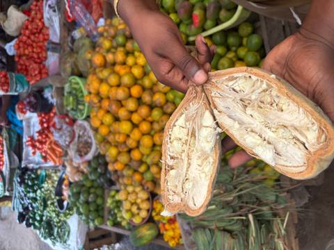 Hands display an opened baobab fruit in front of a vibrant stall piled with citrus, tomatoes and other produce.