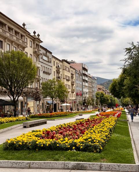 Pedestrian street lined with colorful buildings and flower beds leading toward distant hills.