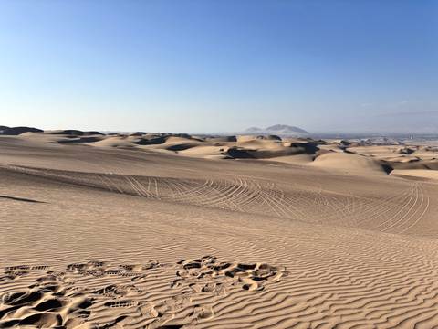 Expansive golden sand dunes with sweeping tyre tracks under a clear blue desert sky.