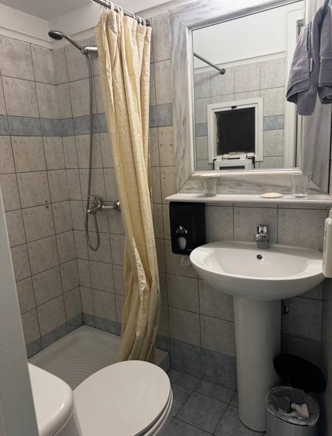 Simple hotel bathroom with sink, mirror and hand-held shower.