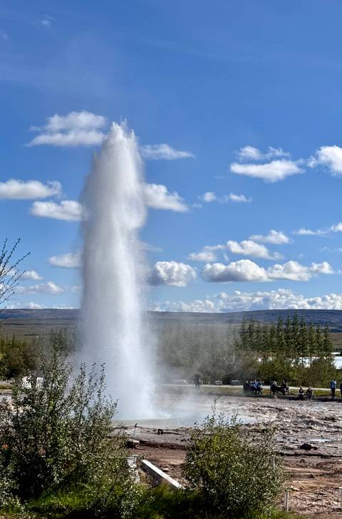 Powerful geothermal geyser erupting high into a bright blue Icelandic sky.