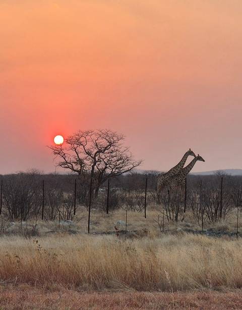 Klantbeoordelingsfoto van Etosha NP, Swakopmund & Sossusvlei (Kamperen in Swakopmund) 8 dagen