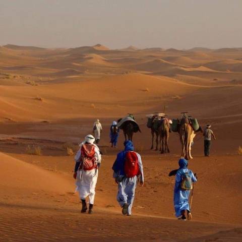 Caravan of camels and guides wearing blue robes trekking across the orange Sahara dunes.