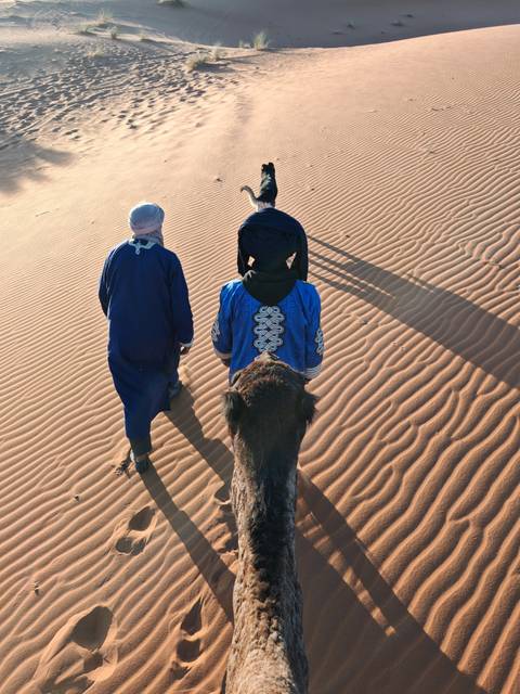 Rider’s perspective from camel back following Tuareg guide across rippled desert sand.