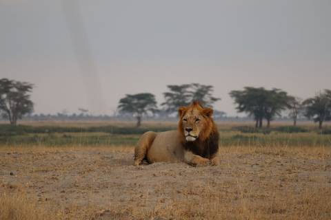 Klantbeoordelingsfoto van Safari in Kenia - nationale parken Amboseli & Tsavo - middenklasse - van Nairobi naar Mombasa - 5 dagen