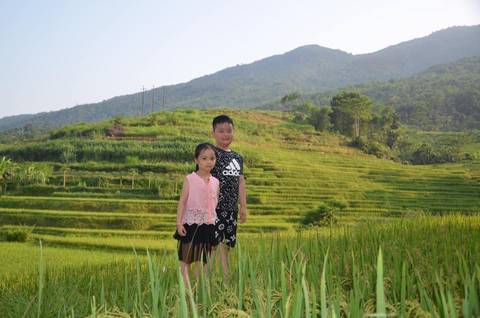 14 Tage Magisches Vietnam Super Save (Hanoi, Halong, Danang, Hoi An, Ho Chi Minh Kleingruppenreise) Foto von Kundenbewertung