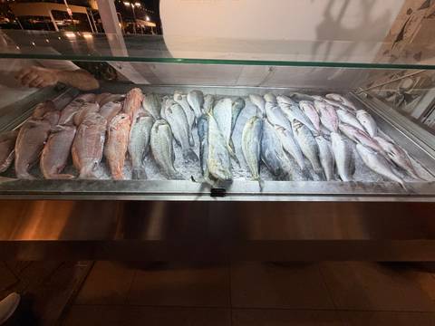 Display case filled with fresh whole fish on crushed ice inside a market or restaurant