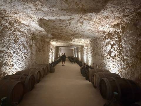 Long underground wine cellar tunnel lined with wooden barrels and dim lighting