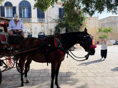 Horse-drawn carriage with driver on a cobblestone plaza, visitor taking photo nearby