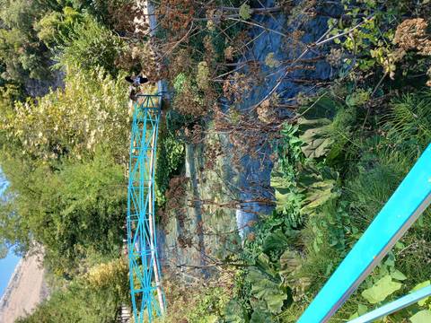 Small turquoise pedestrian bridge over clear spring water amidst green vegetation.