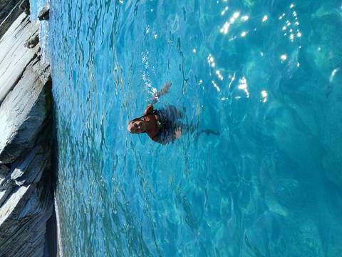 Woman happily swimming in crystal-clear blue water beside a rocky shoreline.