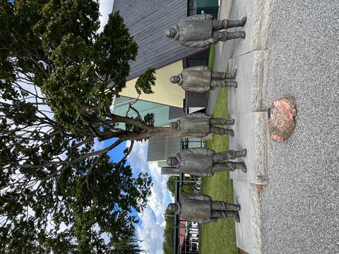 Magic of the Fjords customer review photo