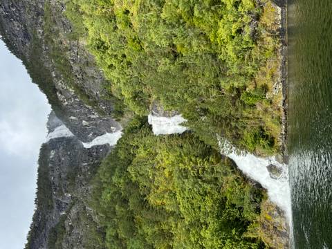 Magic of the Fjords customer review photo