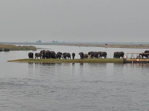 Klantbeoordelingsfoto van 8-daagse Okavango Delta & Chobe Express (Overnachting)