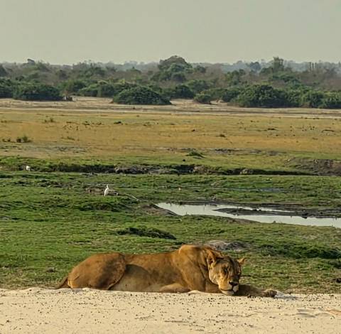 Klantbeoordelingsfoto van 8-daagse Okavango Delta & Chobe Express (Overnachting)