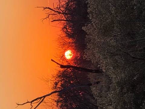 Klantbeoordelingsfoto van 8-daagse Okavango Delta & Chobe Express (Overnachting)