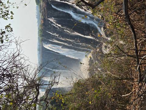 Klantbeoordelingsfoto van 8-daagse Okavango Delta & Chobe Express (Overnachting)