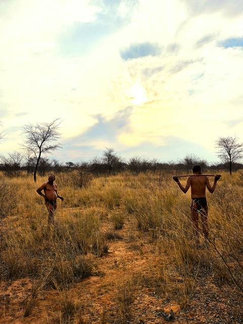 Klantbeoordelingsfoto van 8-daagse Okavango Delta & Chobe Express (Overnachting)