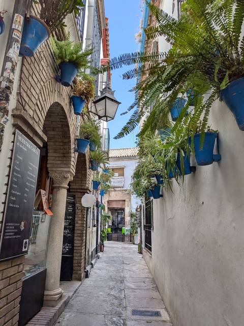 A picturesque narrow alley in Córdoba adorned with blue flower pots overflowing with green ferns.