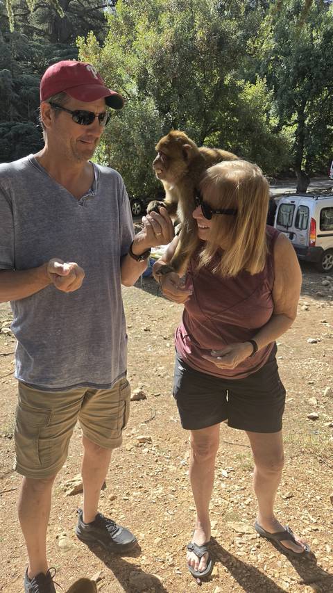 Close interaction with a small monkey climbing on a woman’s shoulder while another person offers food