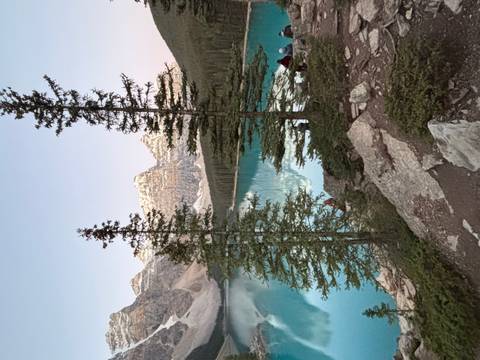 Turquoise Moraine Lake at dusk framed by tall pine trees with alpenglow on the peaks