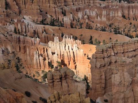 Sunlit hoodoos and striped cliffs create an intricate amphitheater of orange rock at Bryce Canyon.