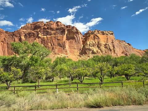 Golden sandstone cliffs rise above a green orchard and grassy meadow under a bright afternoon sky.