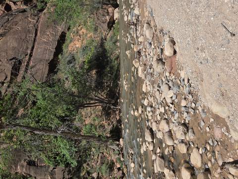 A shallow rocky river winds through a canyon bottom with trees and steep cliffs nearby.