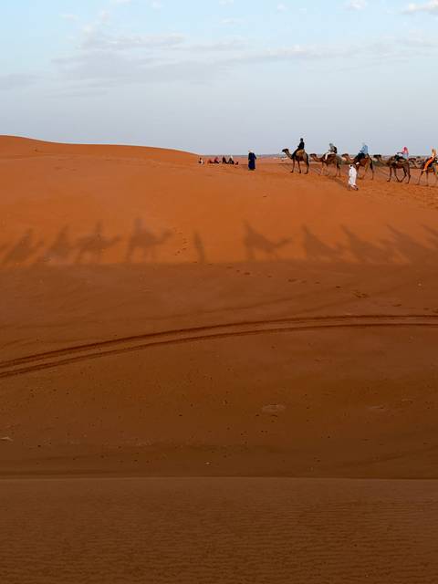 Morocco Classic 11 Day - One Life Adventures customer review photo