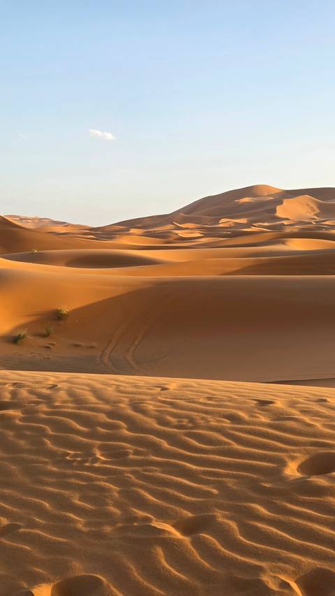 Morocco Classic 11 Day - One Life Adventures customer review photo
