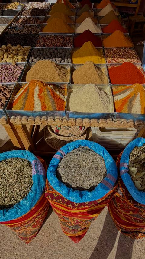 Morocco Classic 11 Day - One Life Adventures customer review photo