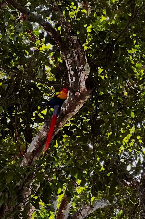 Photo d'avis client sur L'essence du Costa Rica - Forfait voyage à Guanacaste