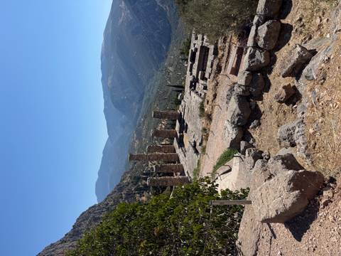 Delphi archaeological site with broken columns overlooking pine-covered mountains.