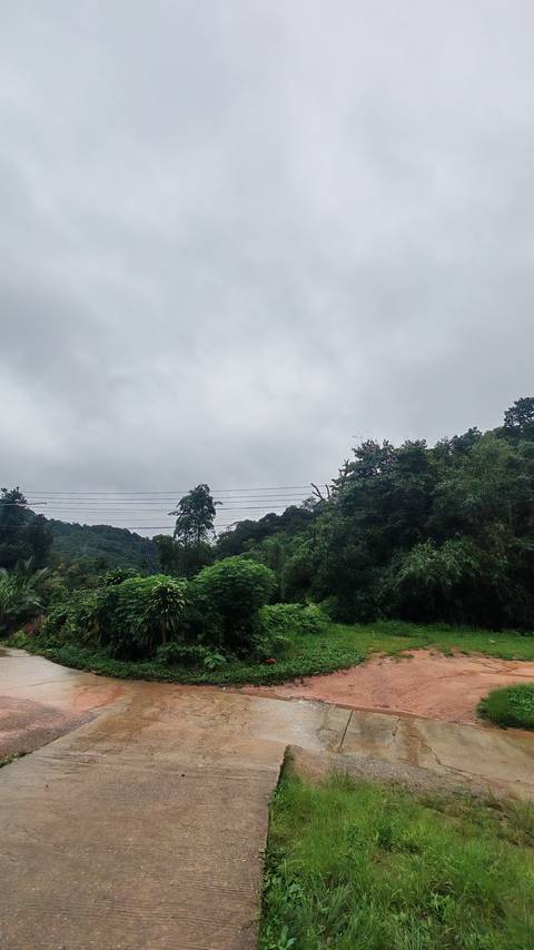 Overcast sky above green hills and jungle with power lines crossing foreground