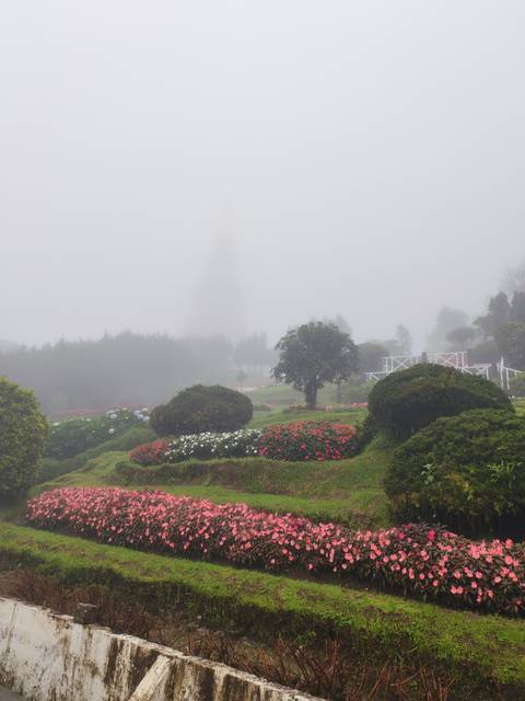 Foggy botanical garden with flower beds and faint silhouette of pagoda or monument in background