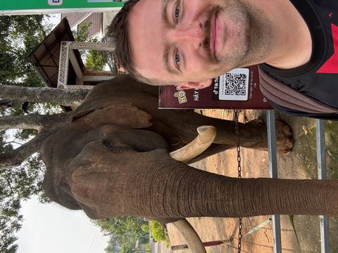 Selfie with Asian elephant behind fence, tusks visible and informational sign with QR code
